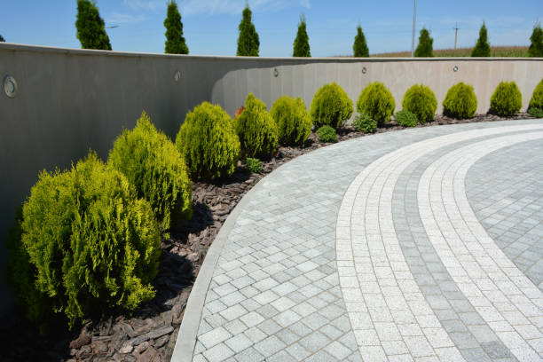 Best Professional Driveway Pavers  in West Vero Corridor, FL